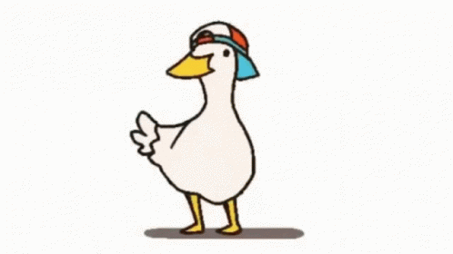 Shuba the duck dancing